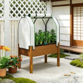 Outdoor vegetable and fruit planting box, brown