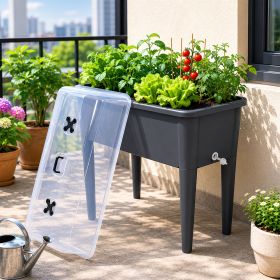 Self Watering Raised Garden Bed Planted Box With Transparent Greenhouse Lid Elevated Planter Box Removable Legs for Veggies Flowers Deep Gray